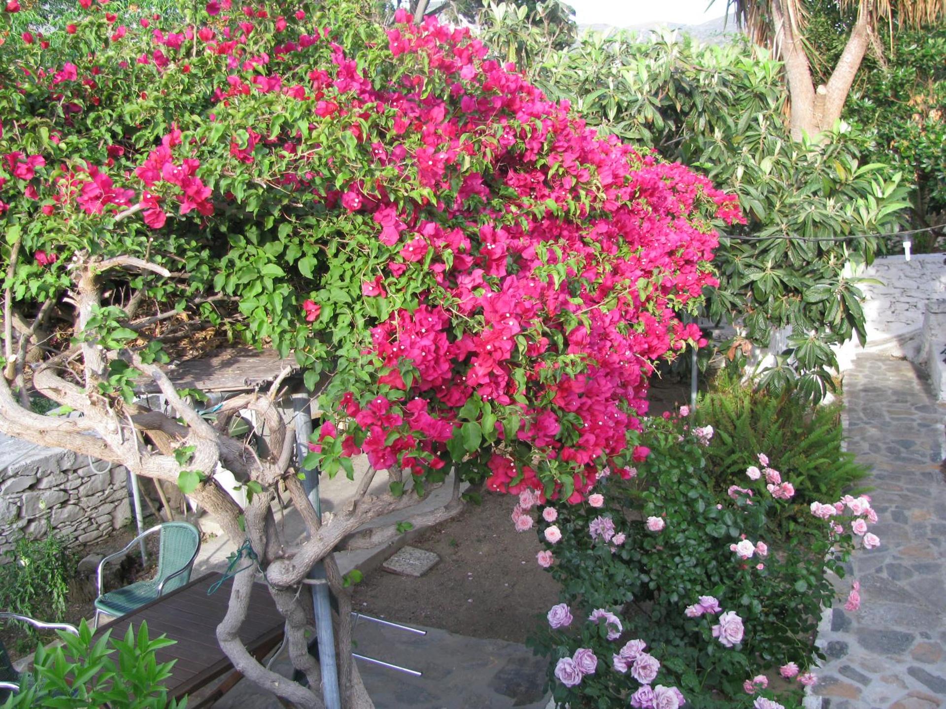 Anna Studios - Photo 4