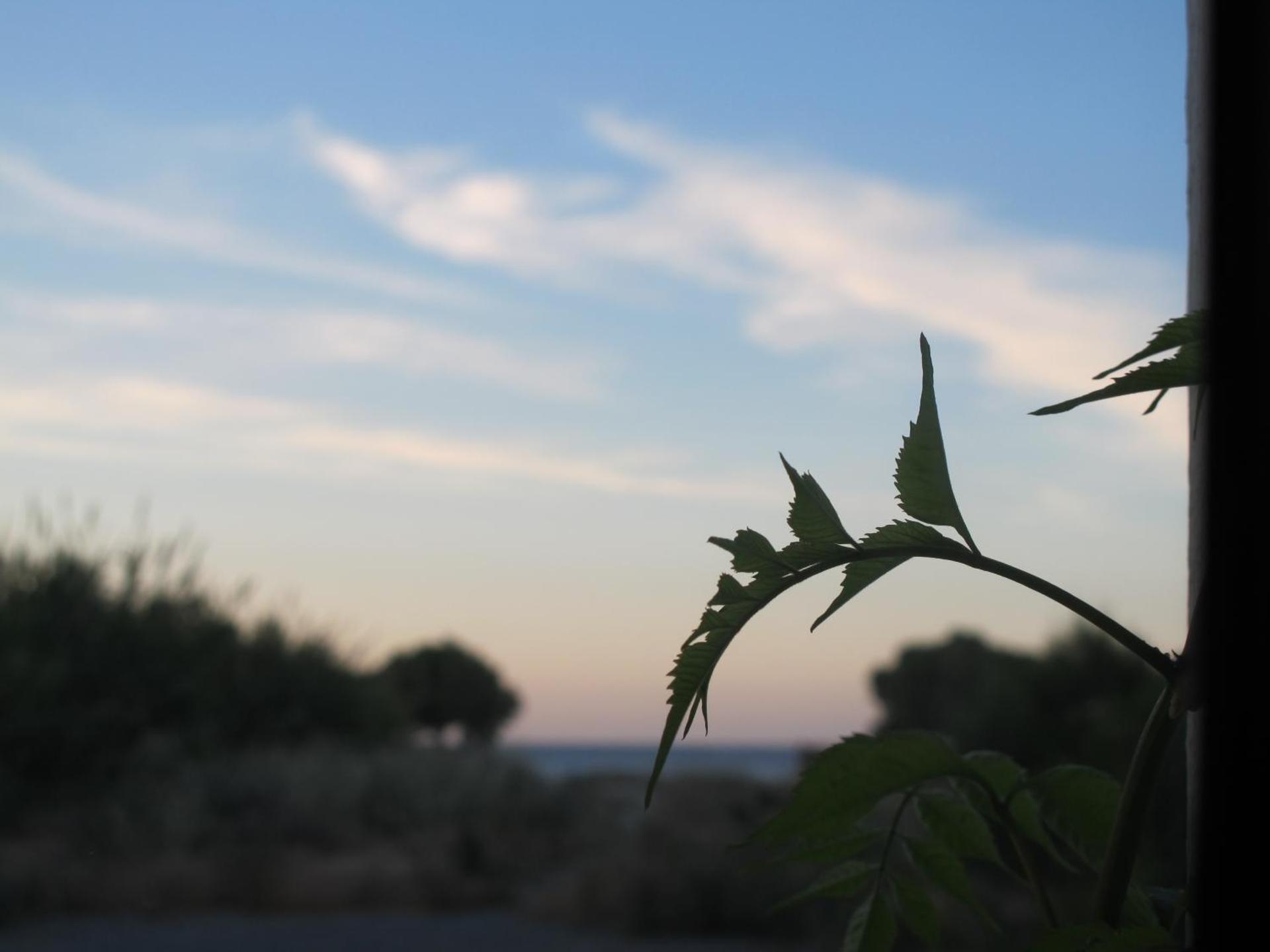 Nikolas Apartments - Photo 39