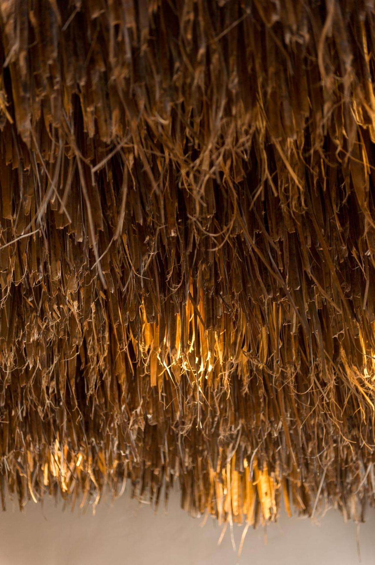 Hotel Eucalyptus - Photo 41