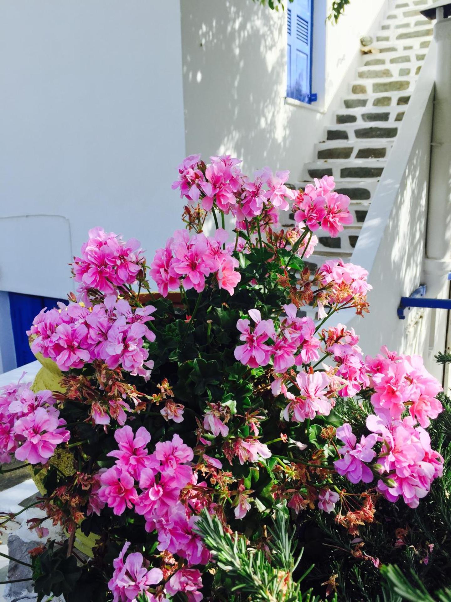 Pension Galini - Photo 27