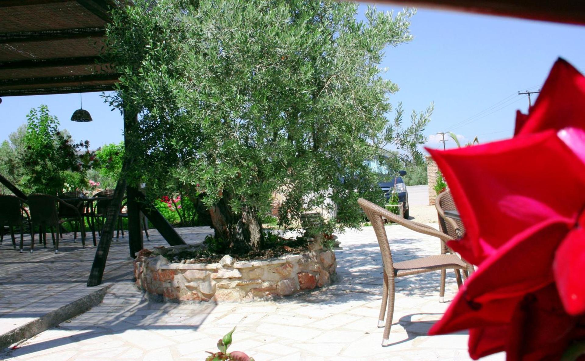 Hani Inn - Photo 19