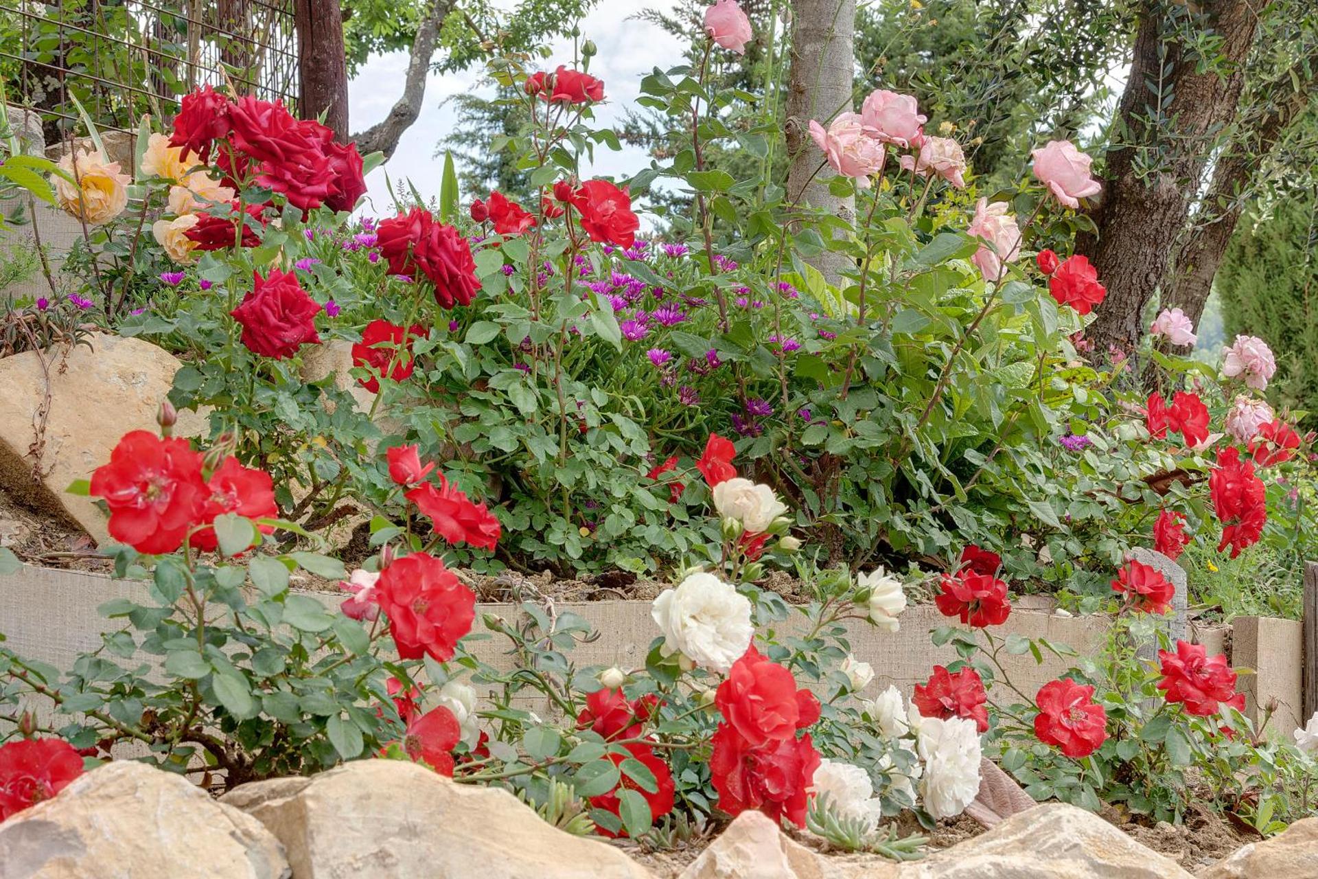 Podere Vignola - Photo 170