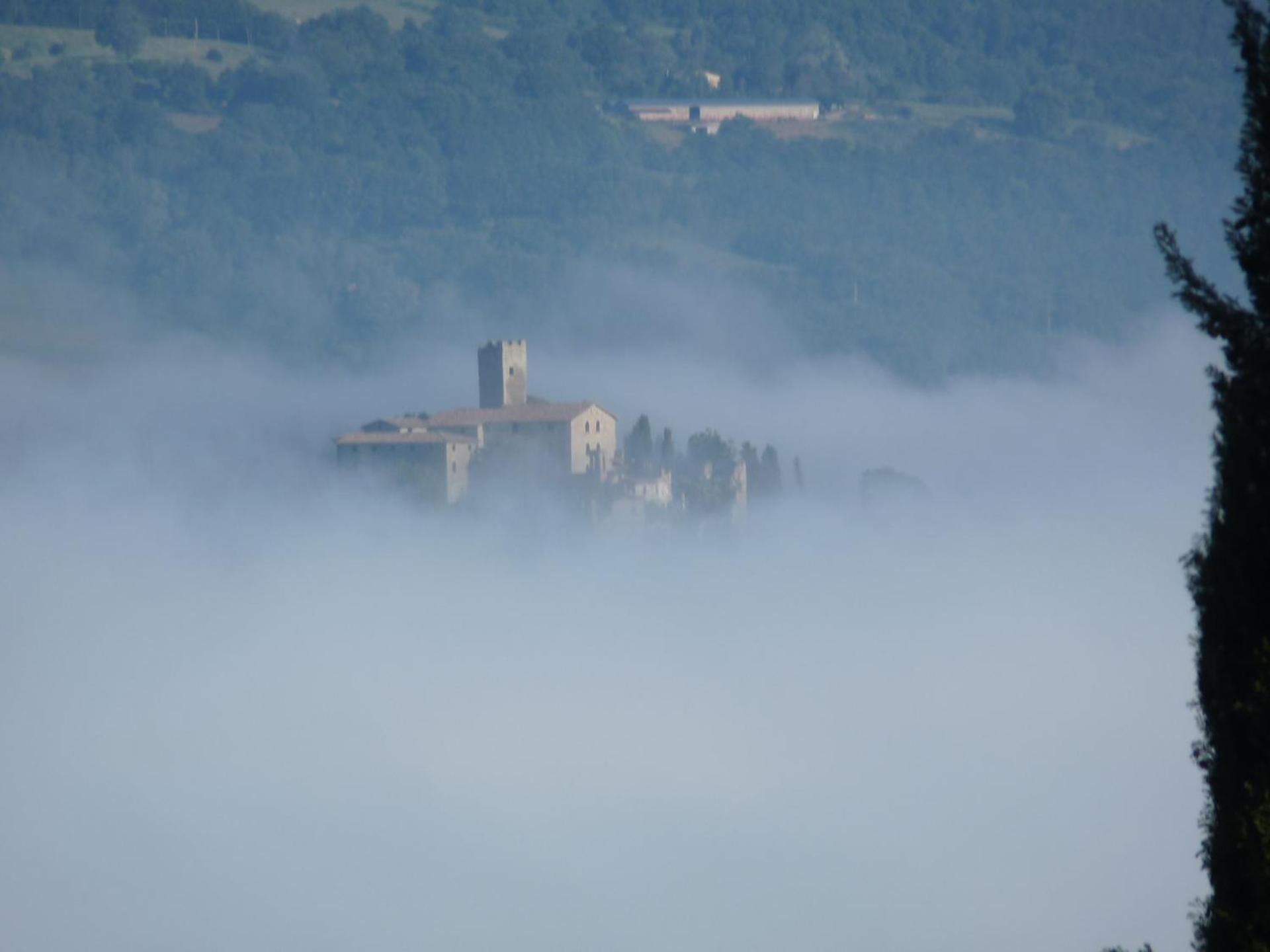 Castello Di Giomici - Photo 183