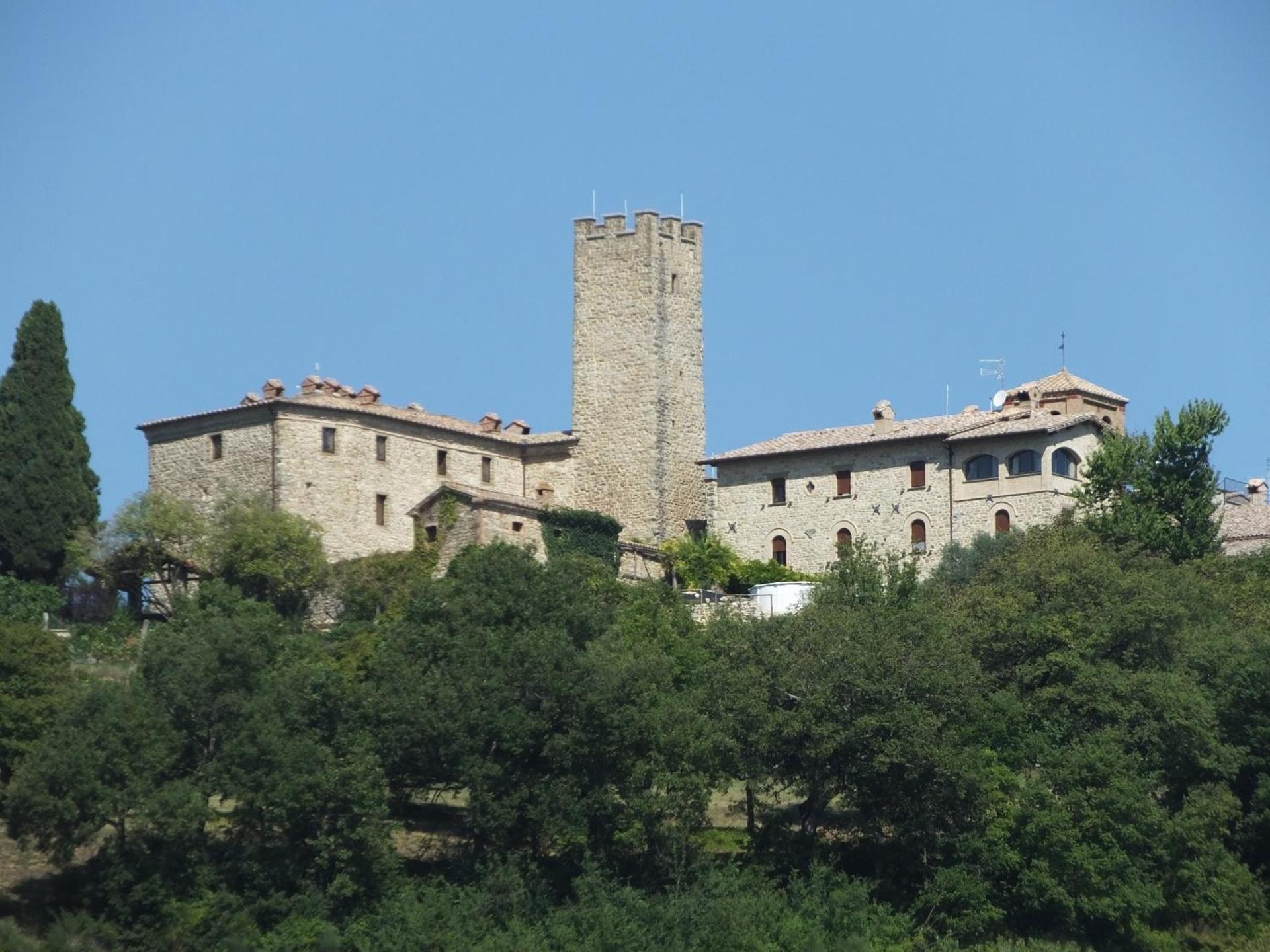 Castello Di Giomici - Photo 199