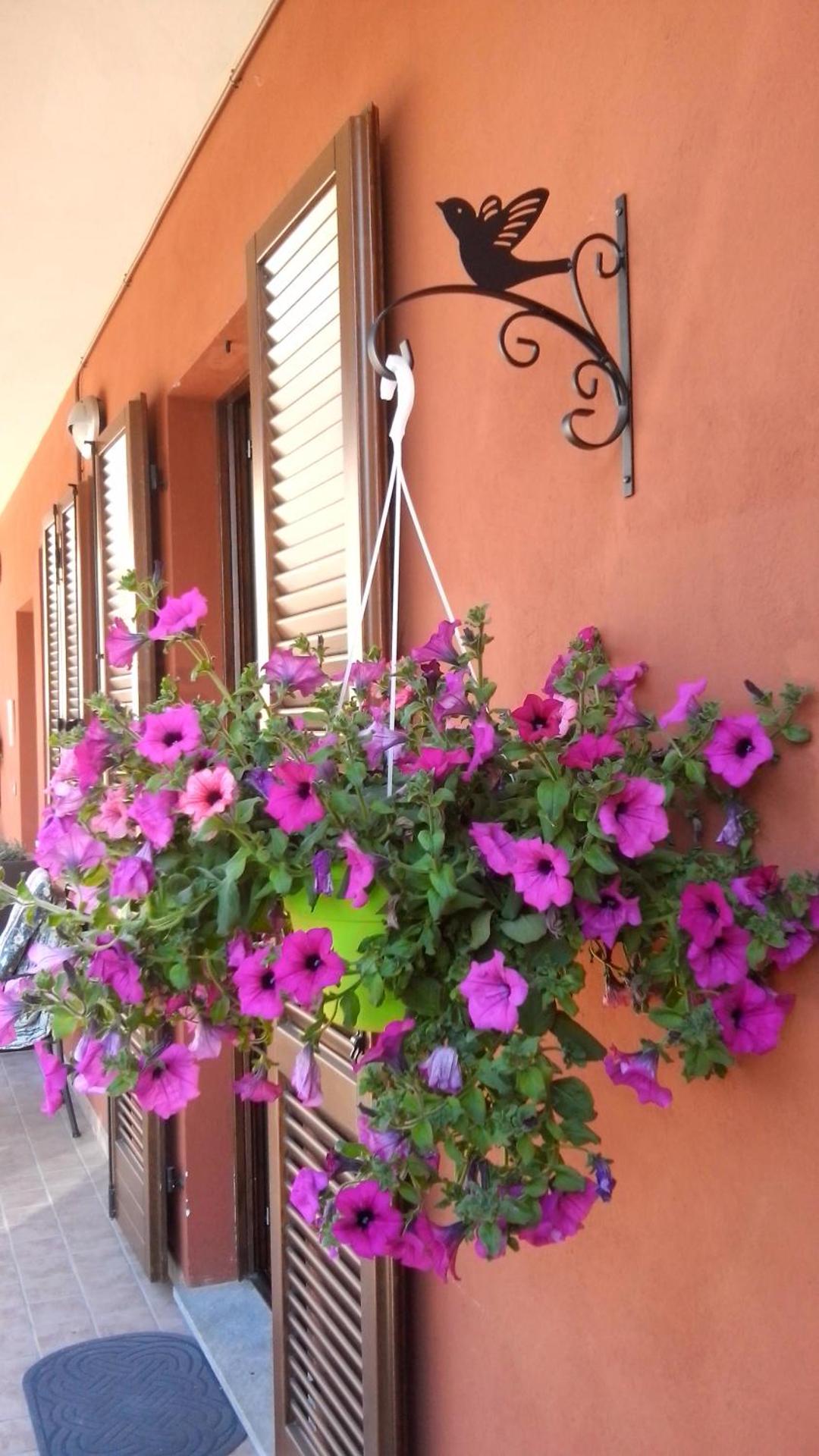 Casa Carolina - Photo 26