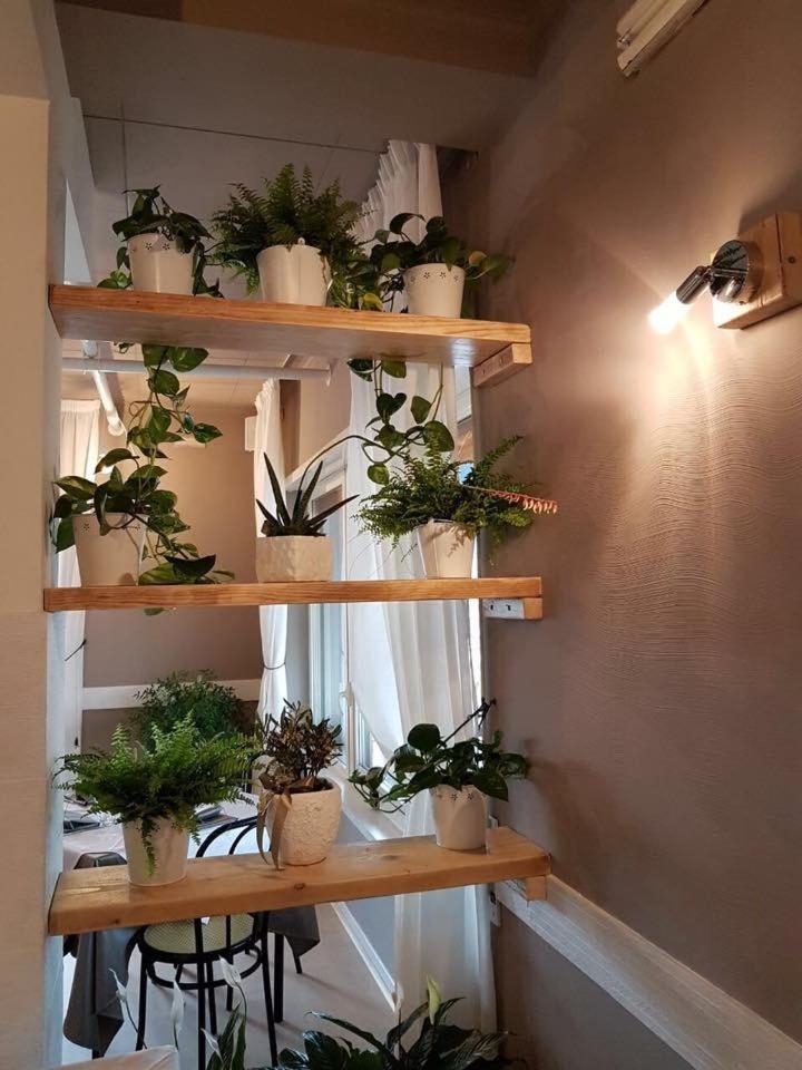 Hotel Serena - Photo 15