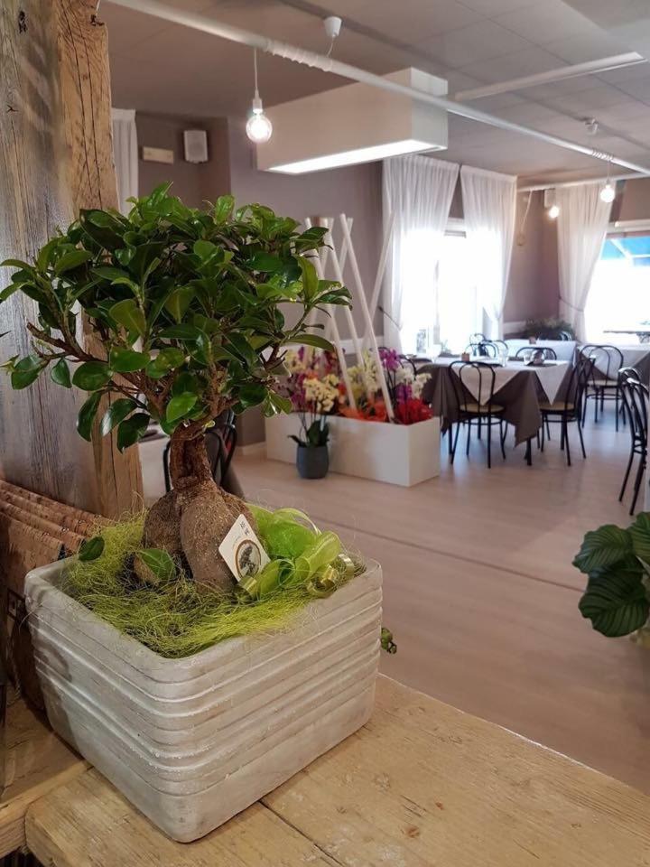 Hotel Serena - Photo 16