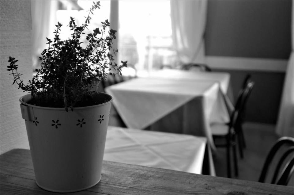 Hotel Serena - Photo 19