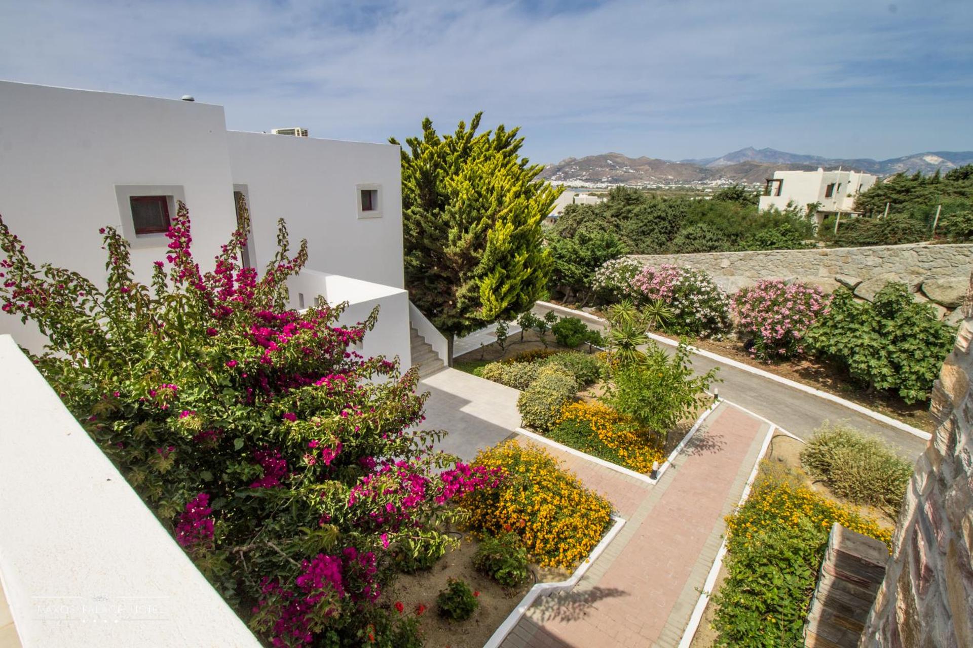 Naxos Palace Hotel - Photo 20