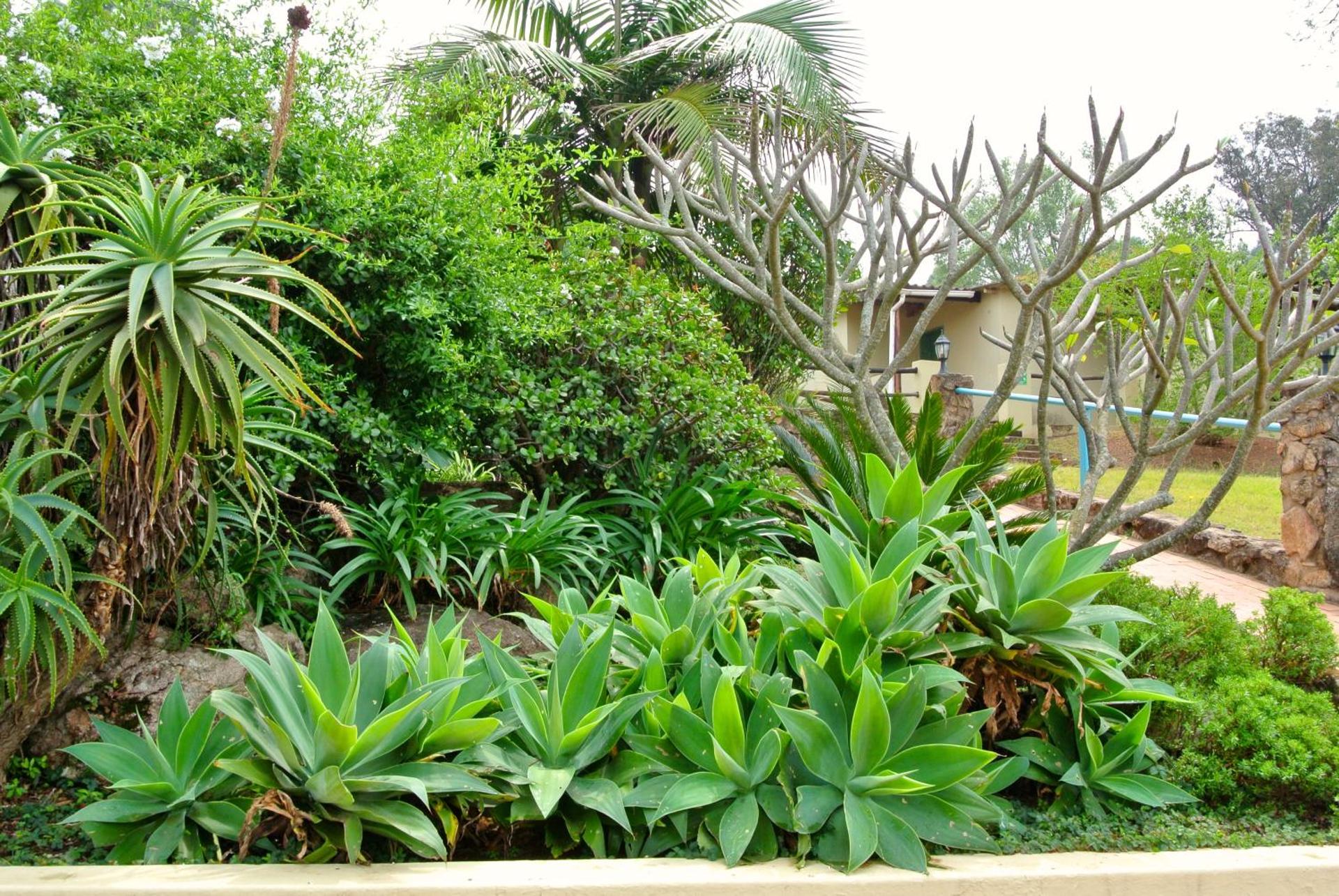 Emafini Country Lodge - Photo 18