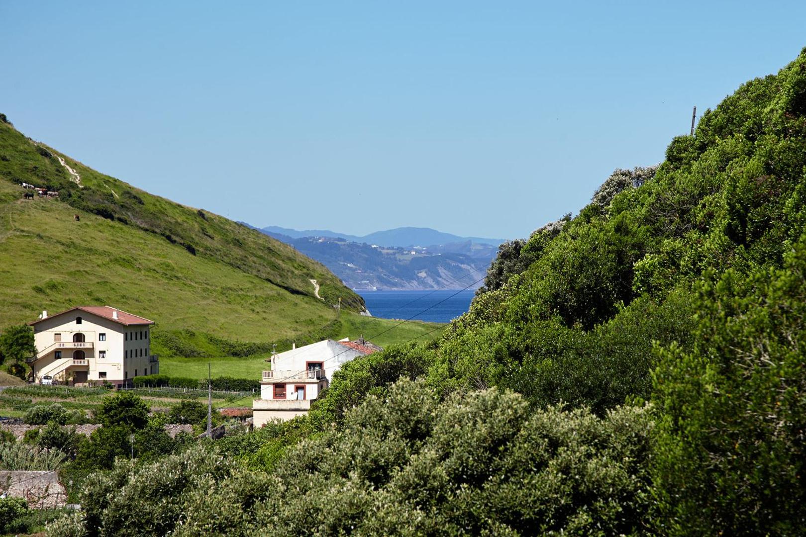 Hotel Flysch 7