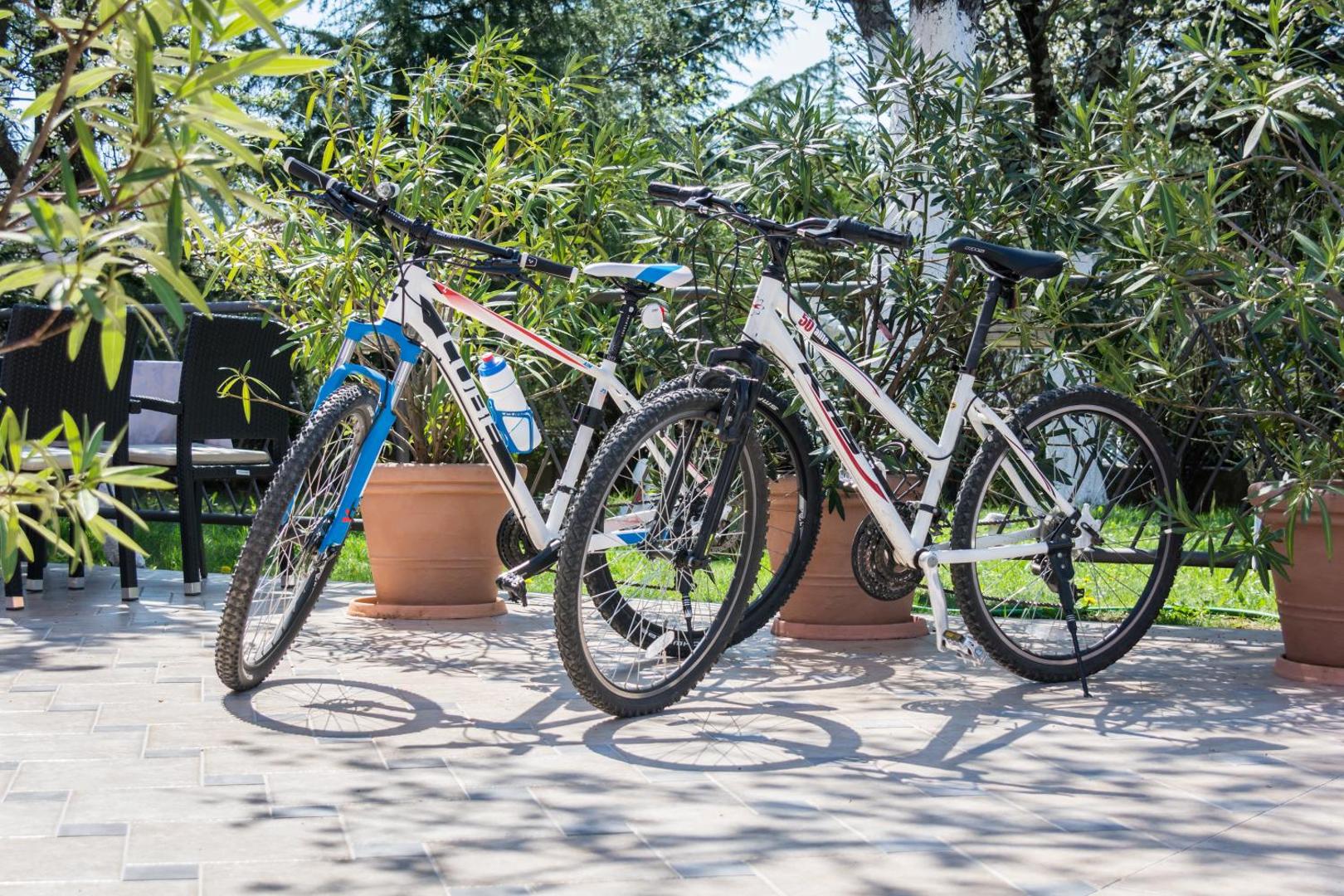Hotel Villa Sandi - free parking 6