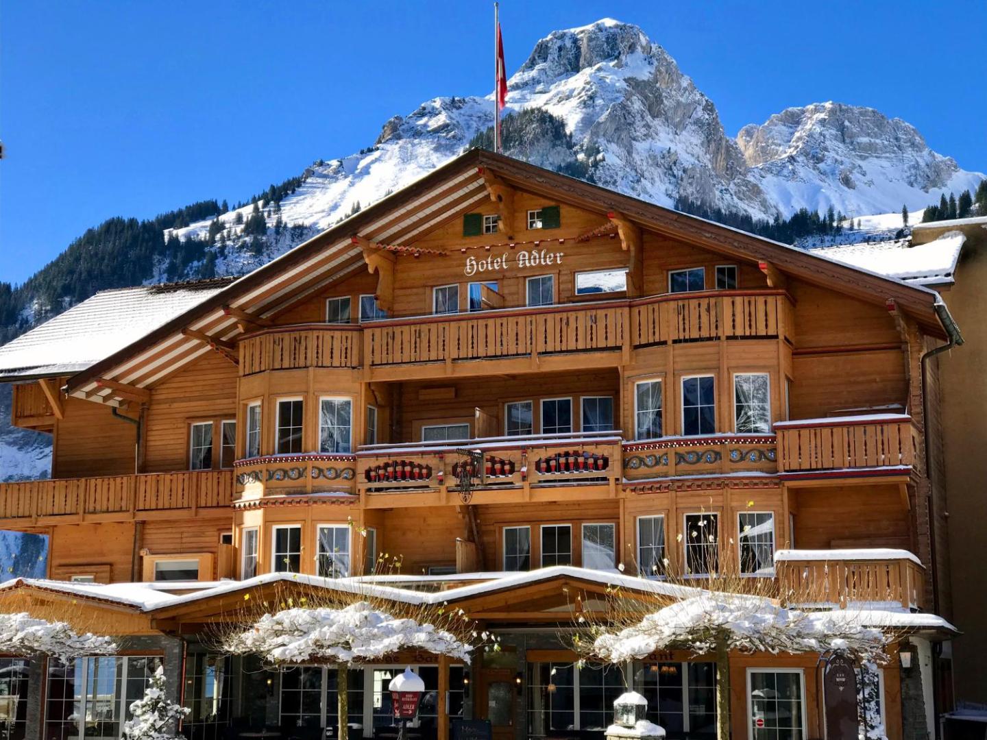 Chalet Hotel Adler 2
