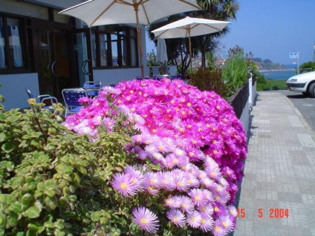 Hotel Los Laureles 2