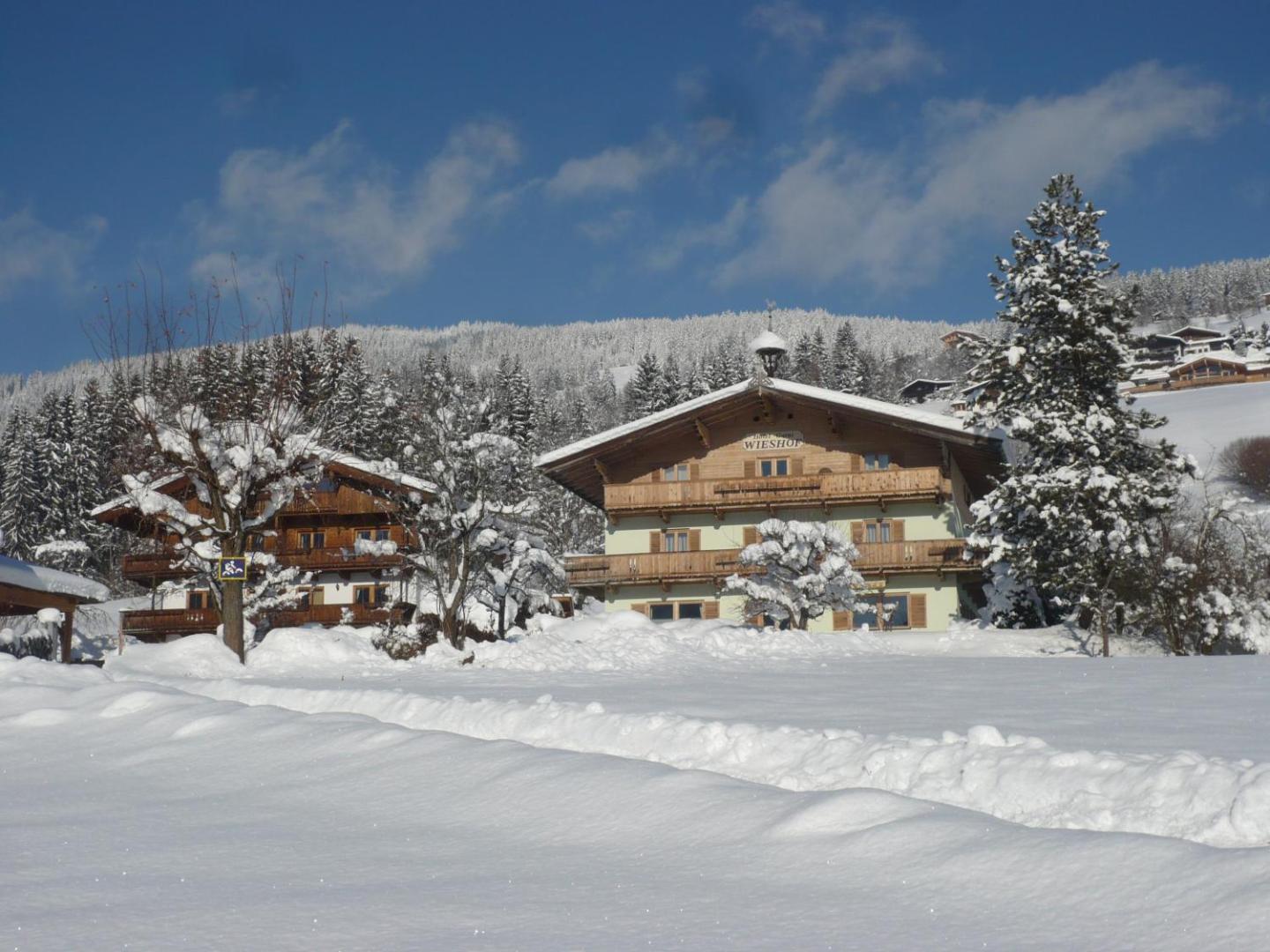 Hotel Garni Wieshof 6