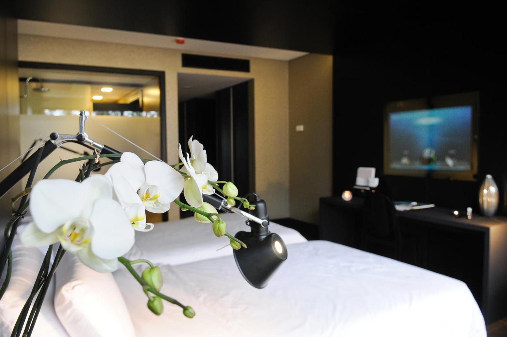 Evidencia Belverde Hotel 7