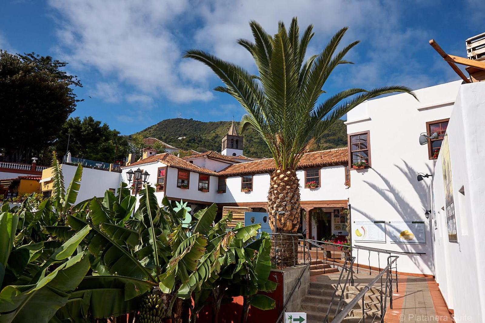 Platanera Suites 7