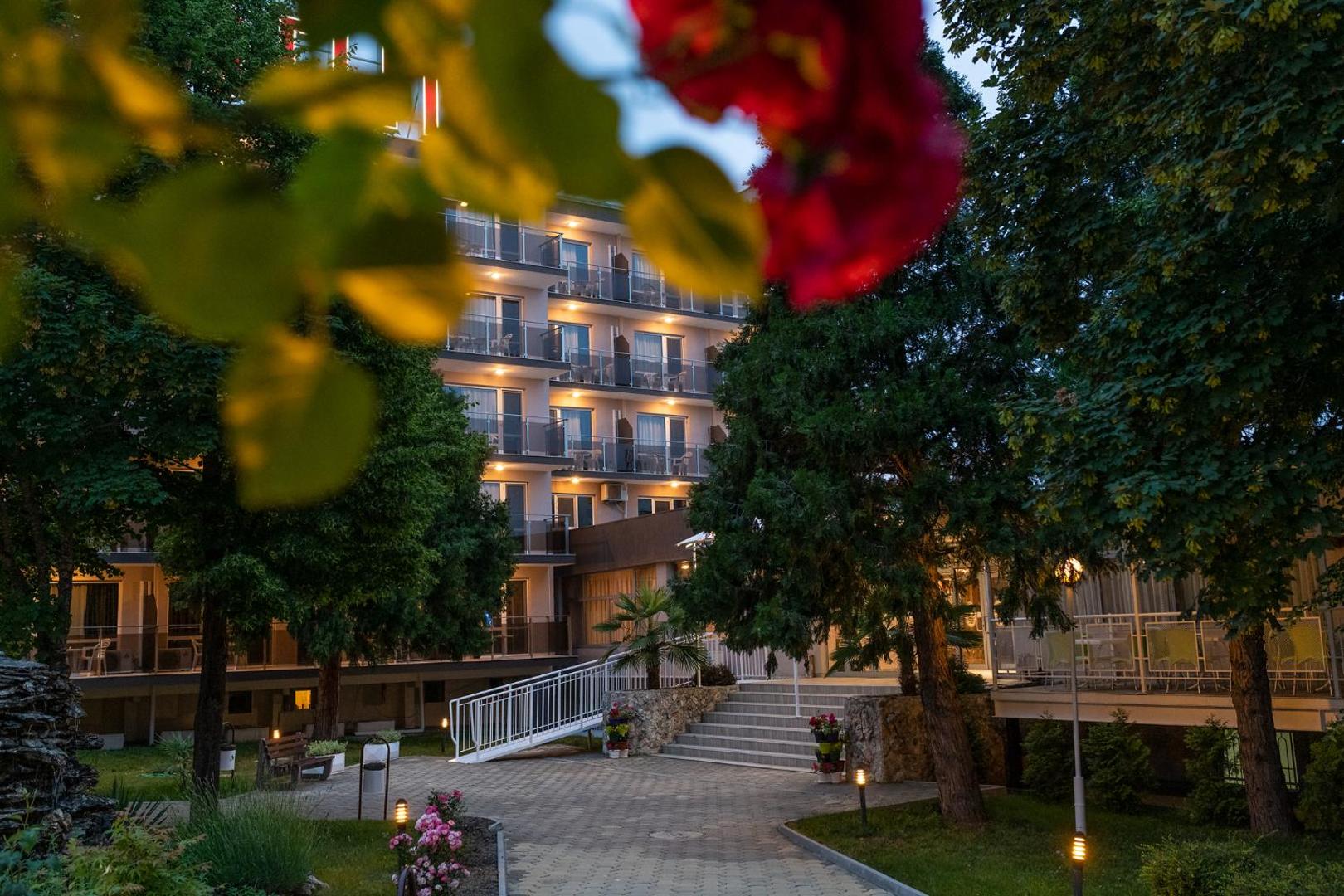 Belitsa Hotel 8
