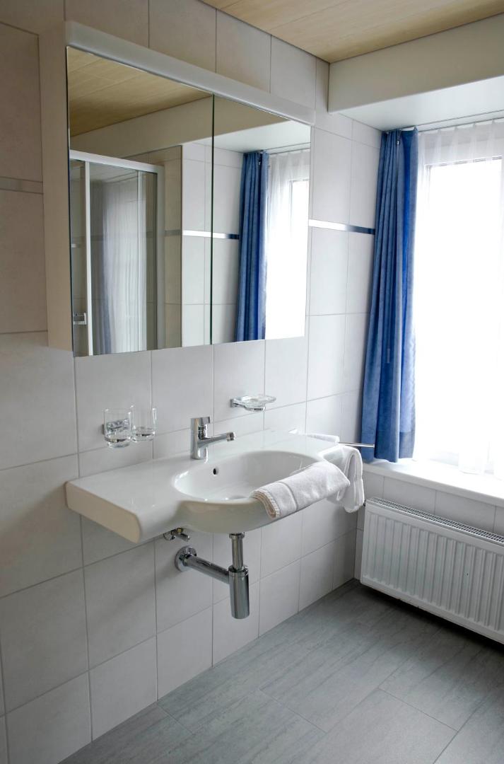 Hotel Alpina 4