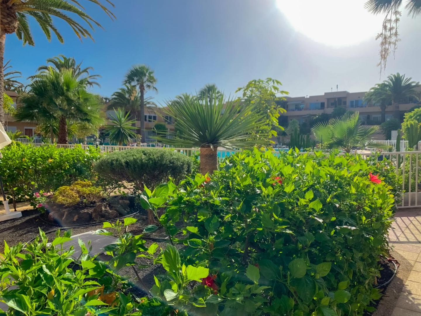 La Primera Duna - Residencial Las Dunas 7