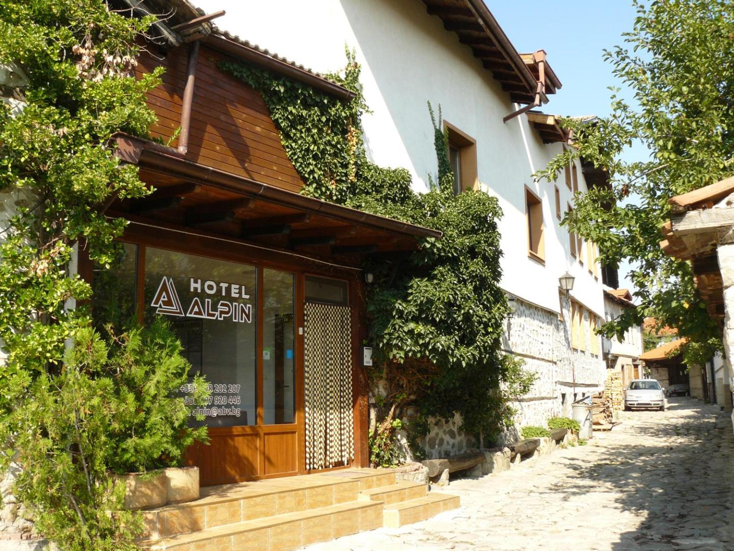 Hotel Alpin - 91 Bansko 7
