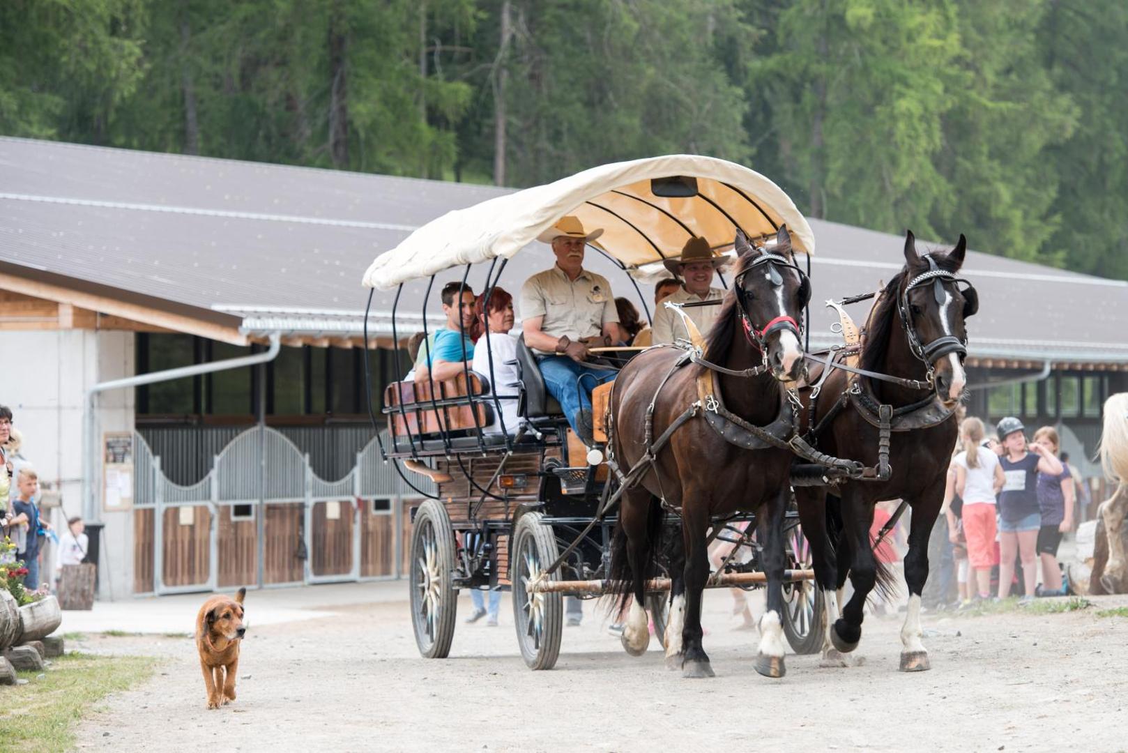 Reitstall und Saloon San Jon 5