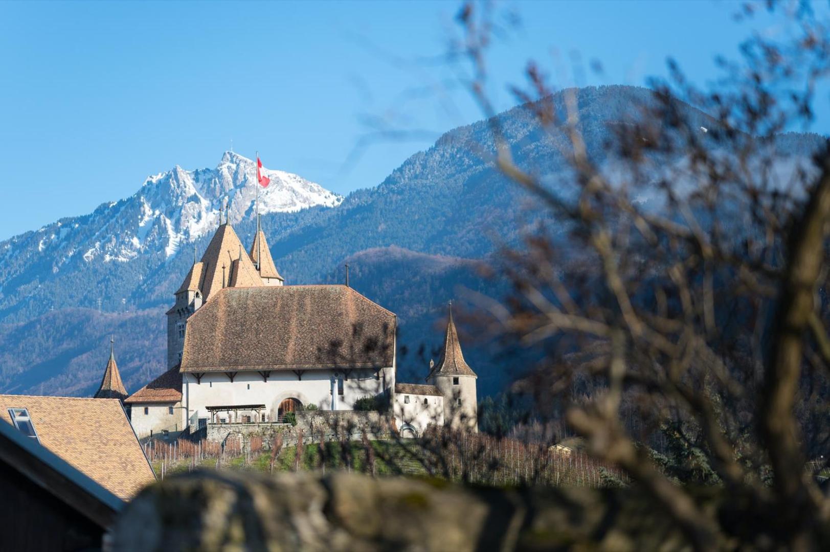 Nonanteneuf appart hōtel Aigle - contactless check-in 8