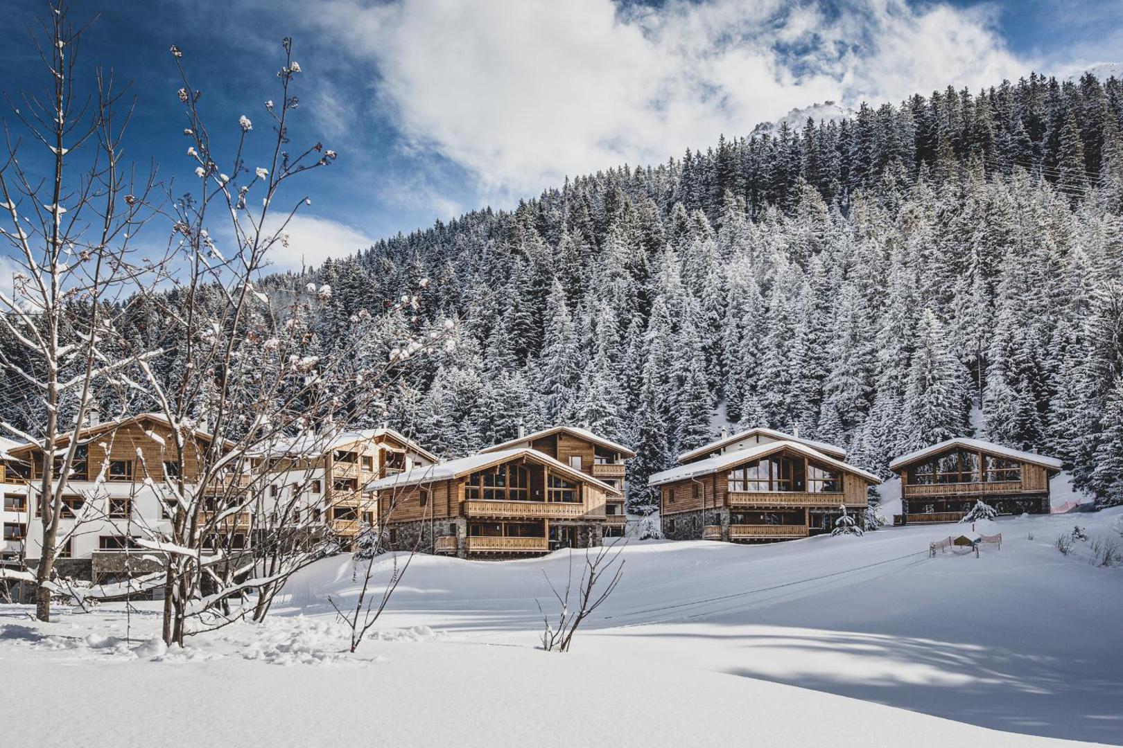 PRIVÀ Alpine Lodge 8