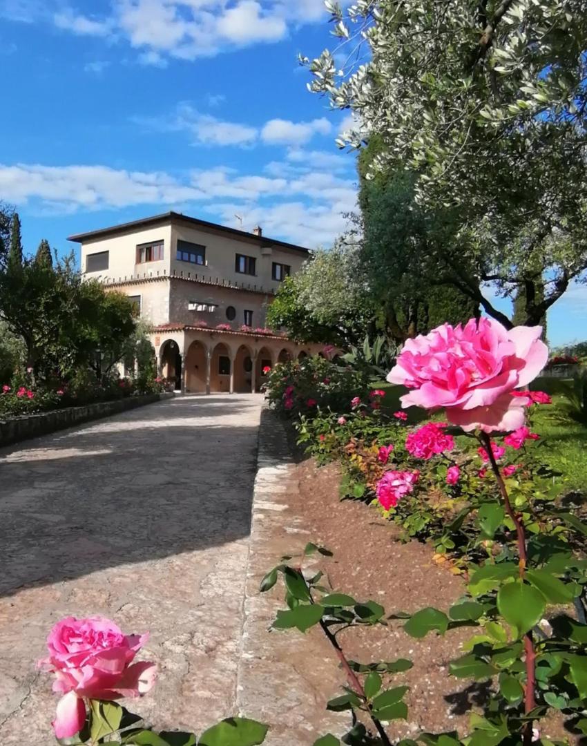 Villa Paradiso 2