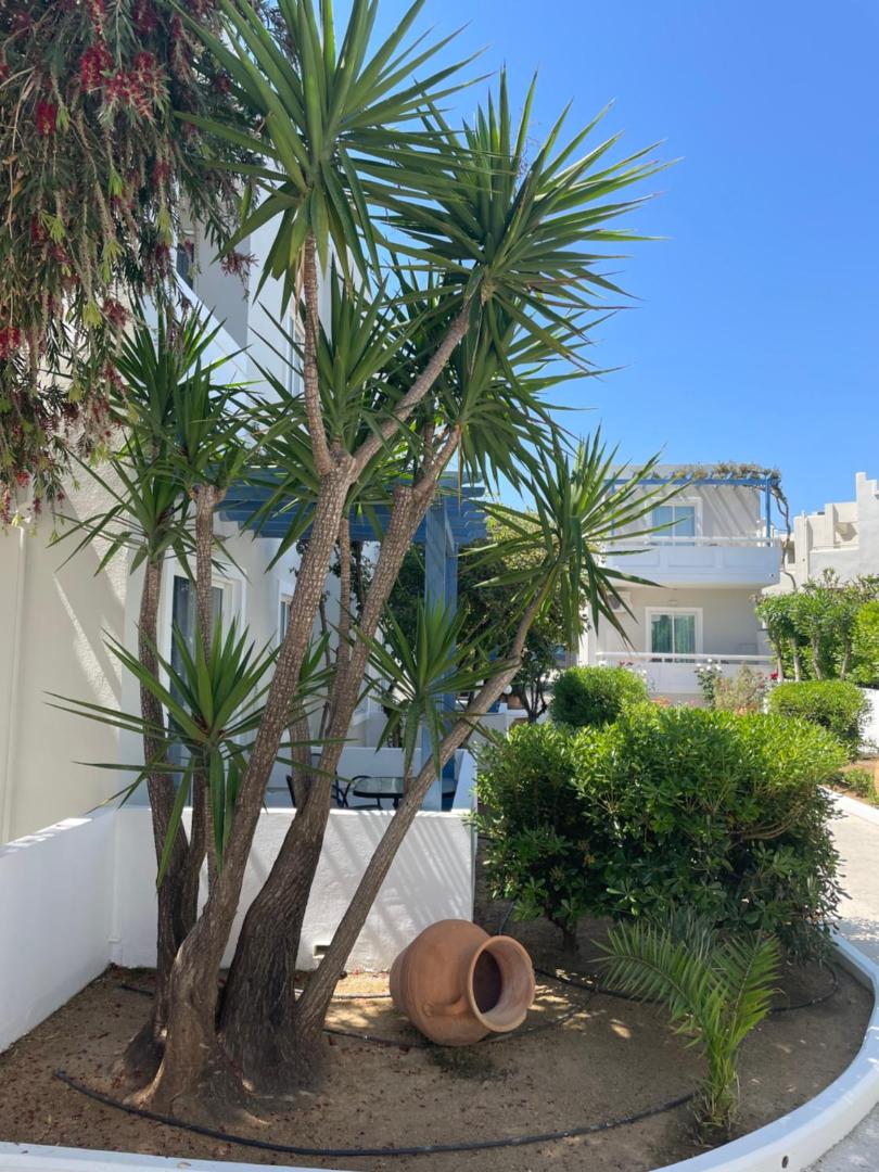 Ninemia Beach Hotel & Suites 8