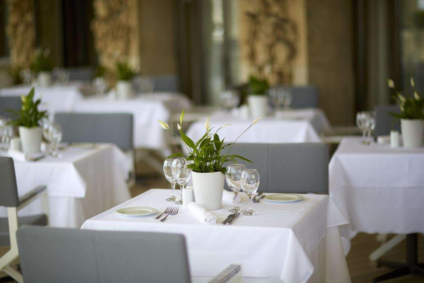 Restorāna galda klājums ar vīna glāzēm un dekoratīvu augu baltā podiņā.