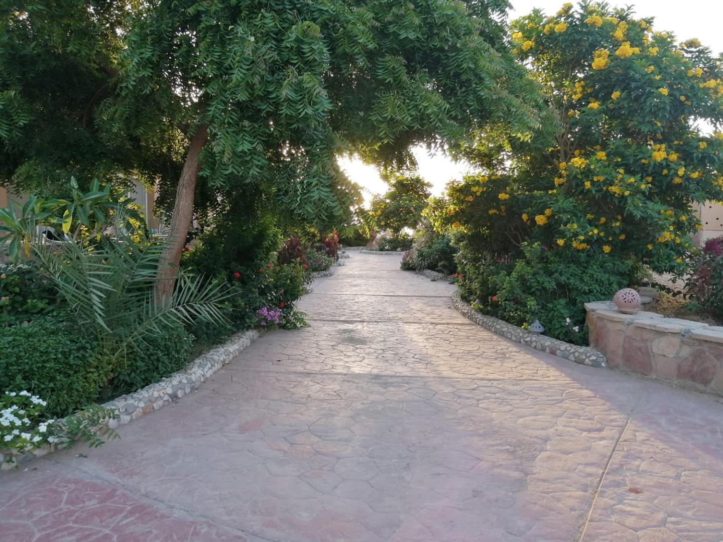 Silver Beach Boutique Hotel 7