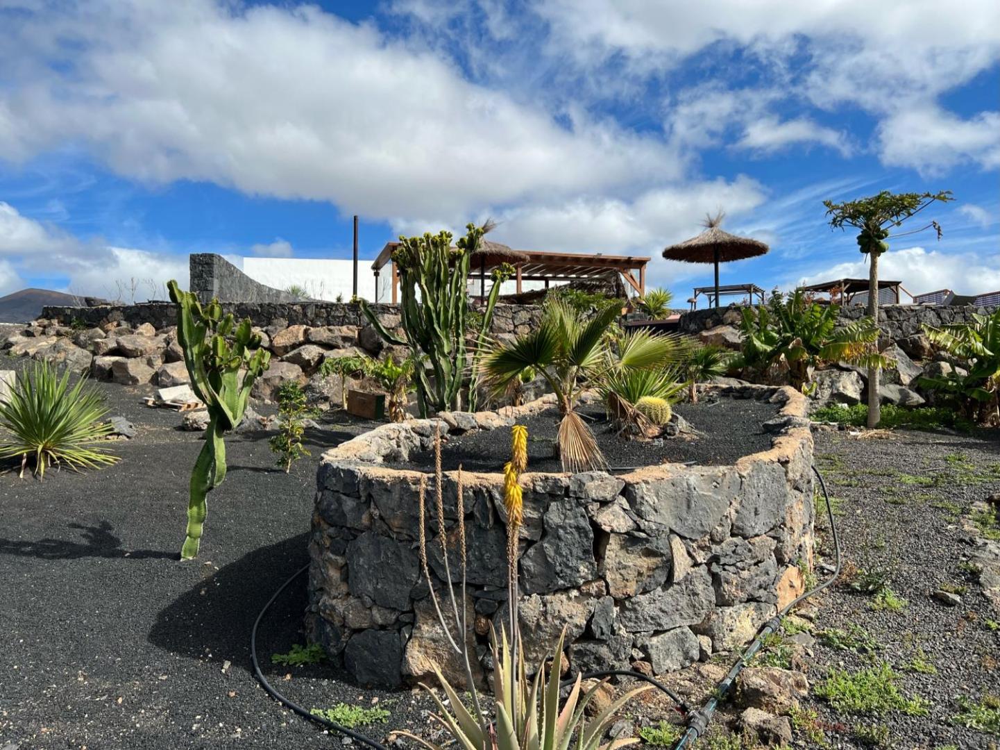 Finca Isolina Hotel Boutique - Adults Recommended 7