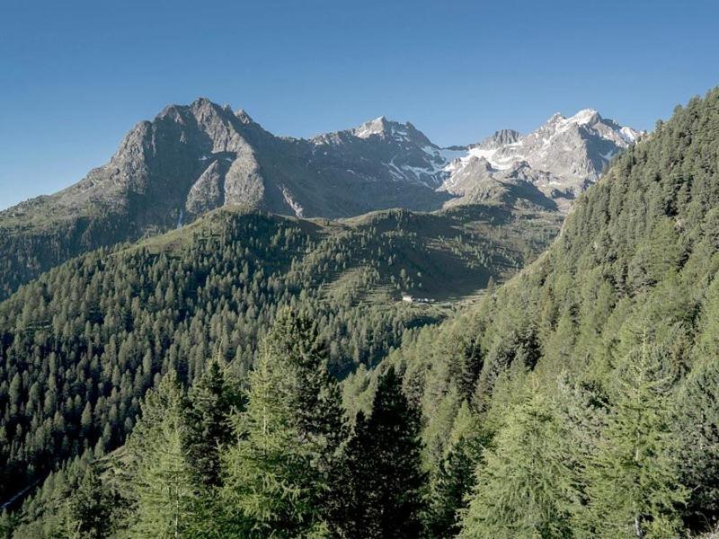 Appartement Breitlehn 7