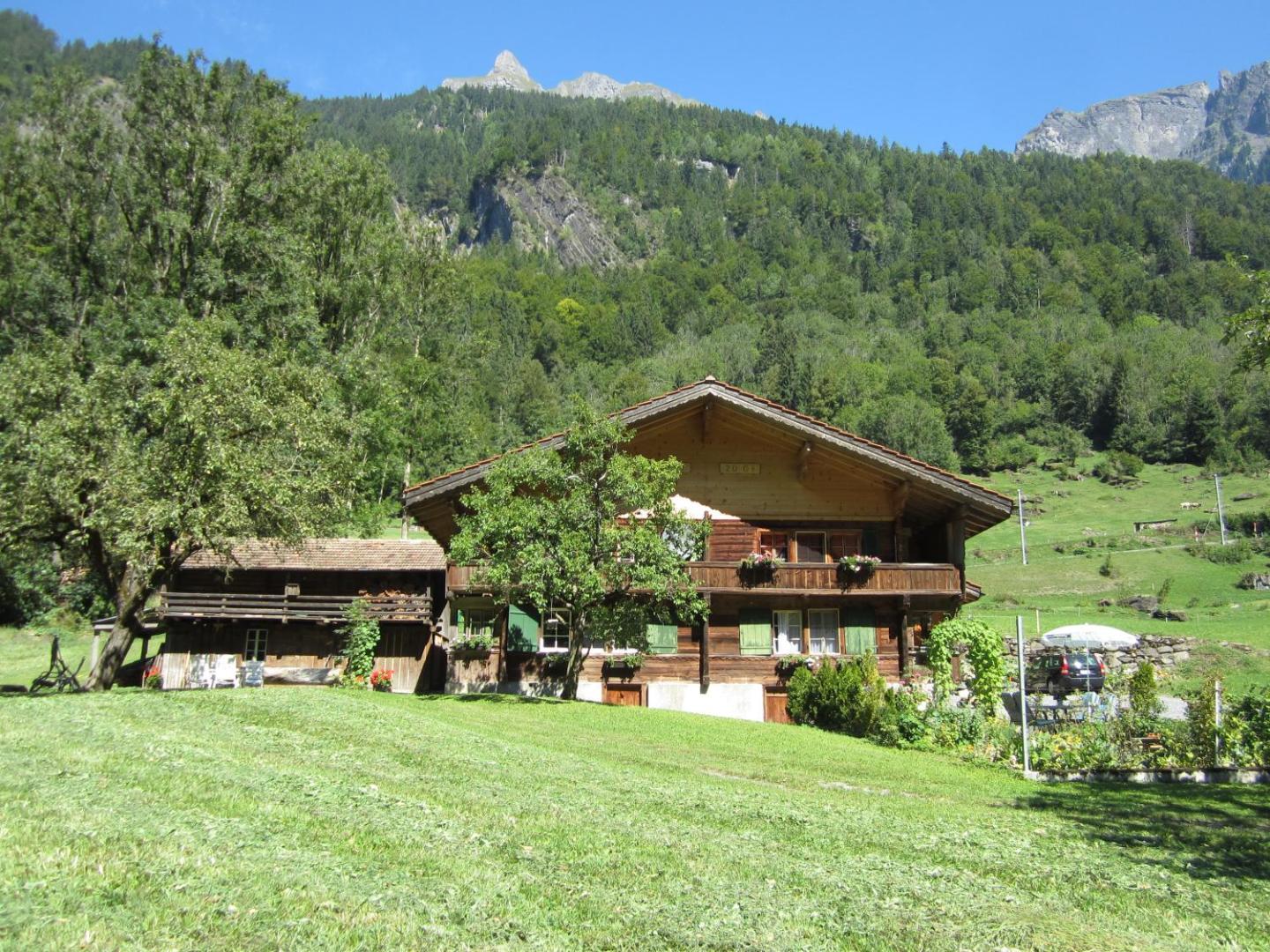 Apartment Lindi 6