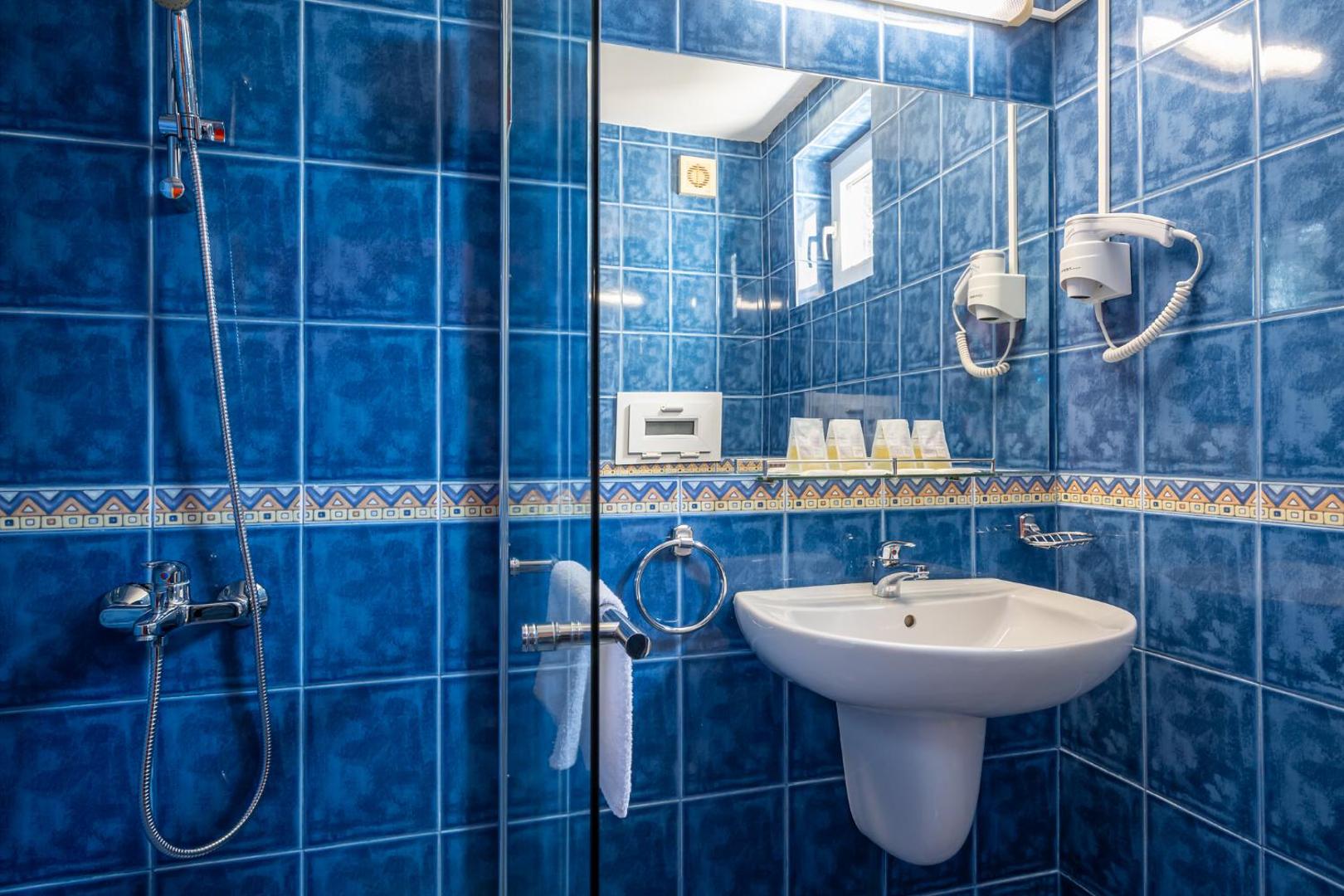 Belitsa Hotel 4