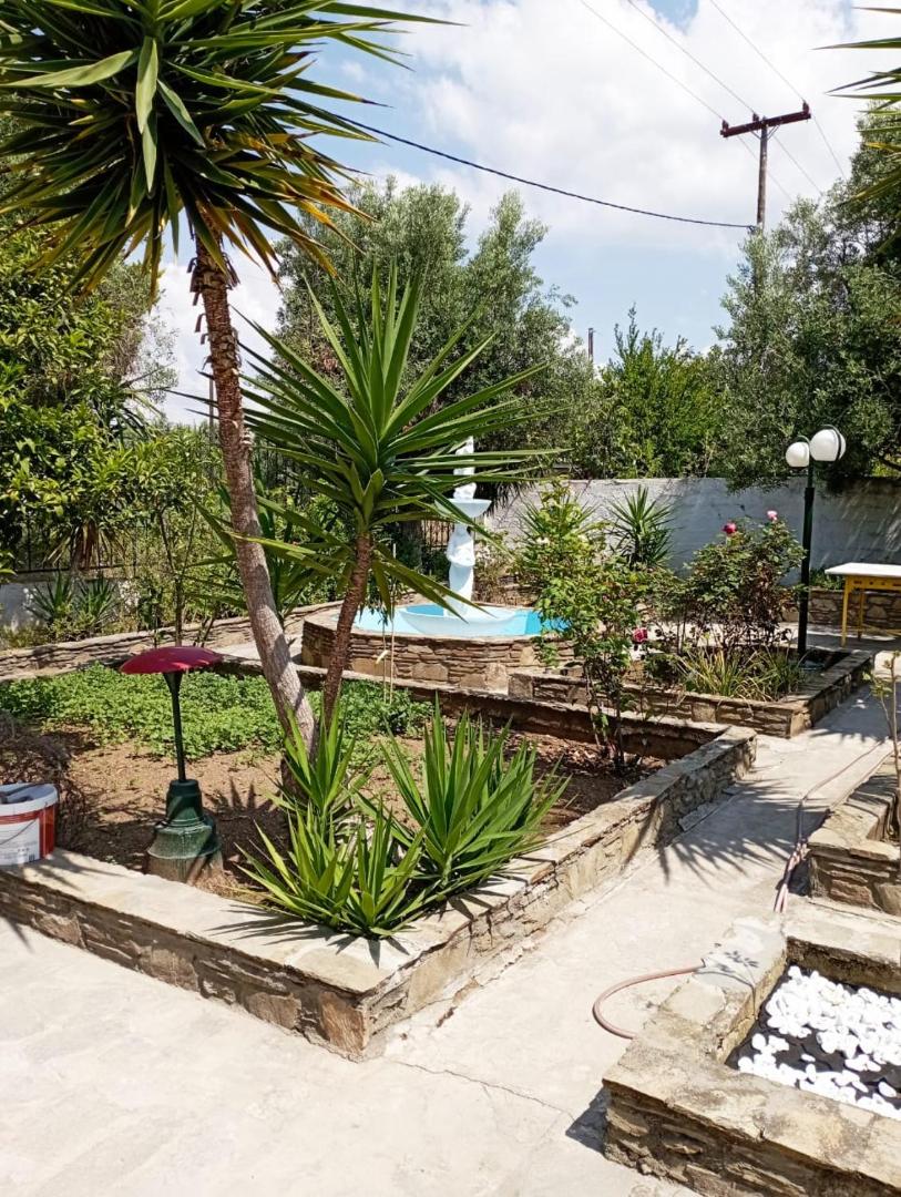 Villa Leah Paralia Gerakinis 5