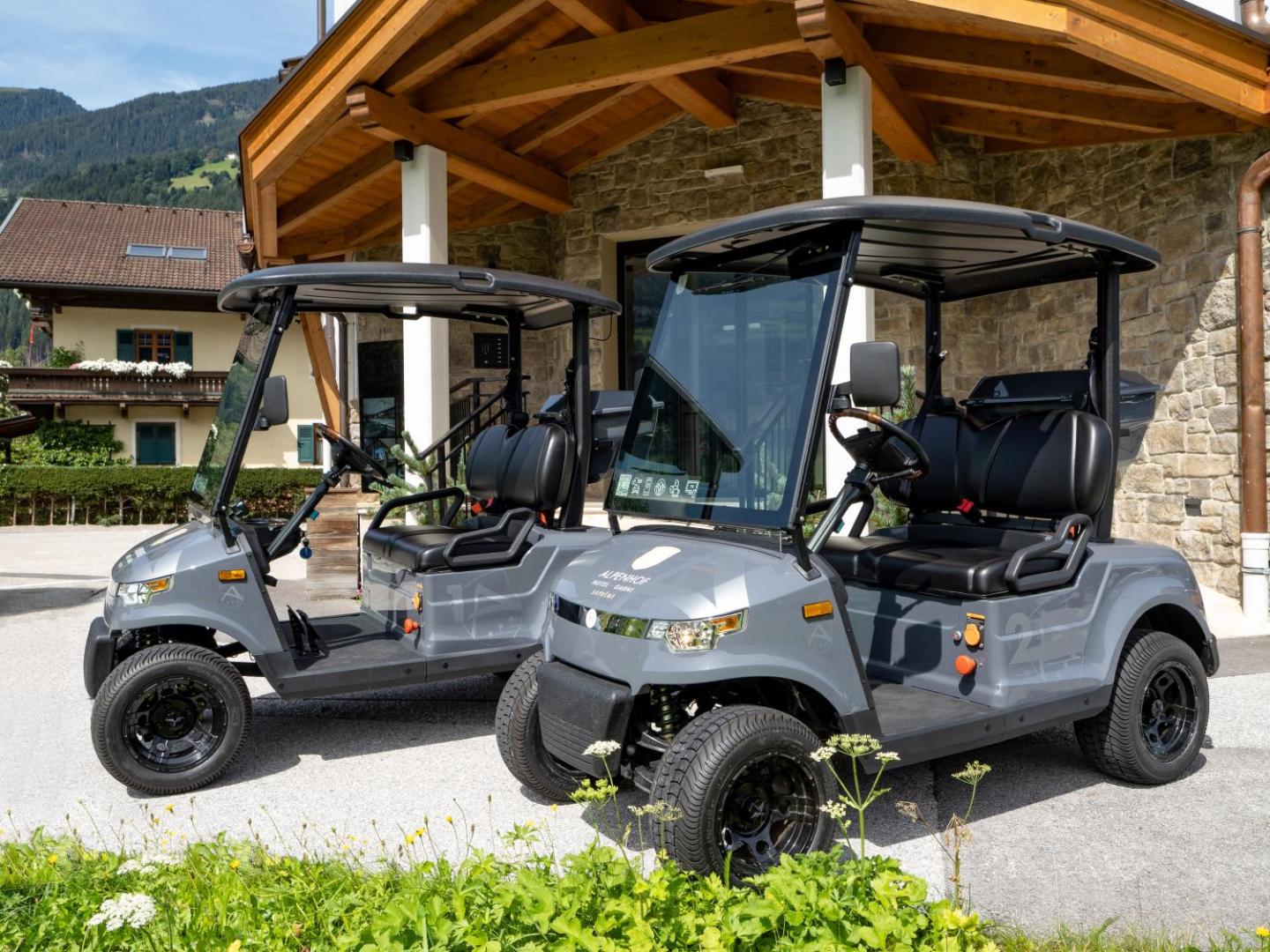 Alpenhof Hotel Garni Suprême 8