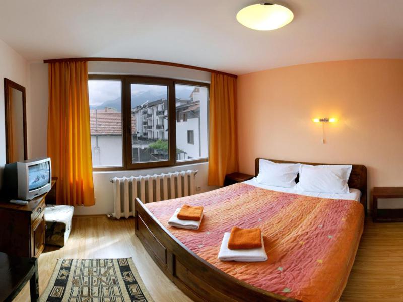Hotel Alpin - 91 Bansko 8