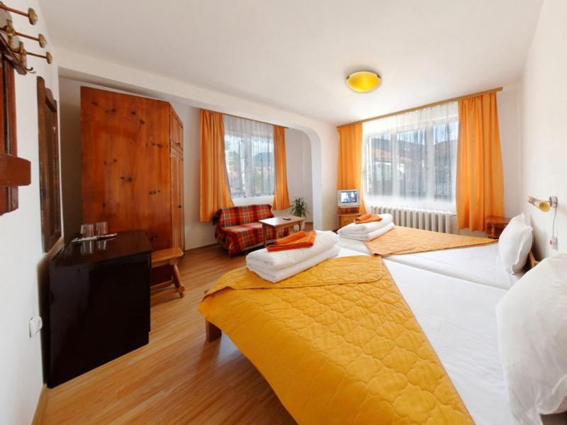 Hotel Alpin - 91 Bansko 3