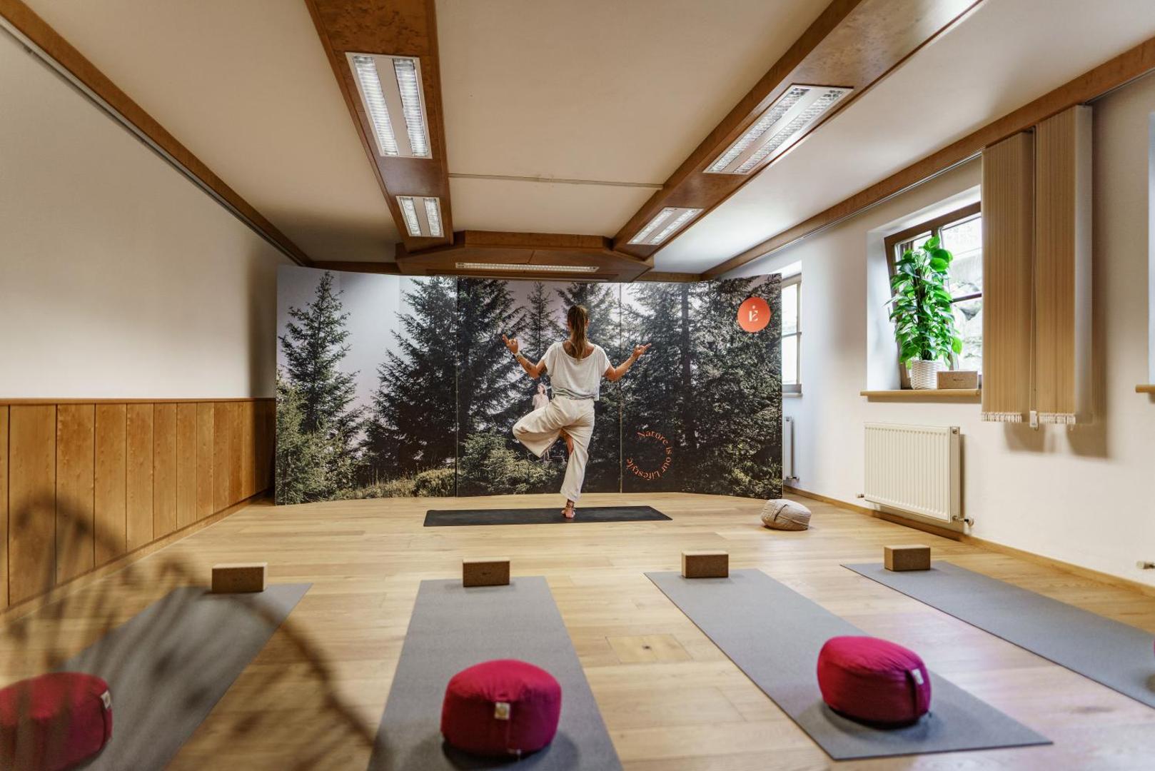 Naturhotel Edelweiss Wagrain 5