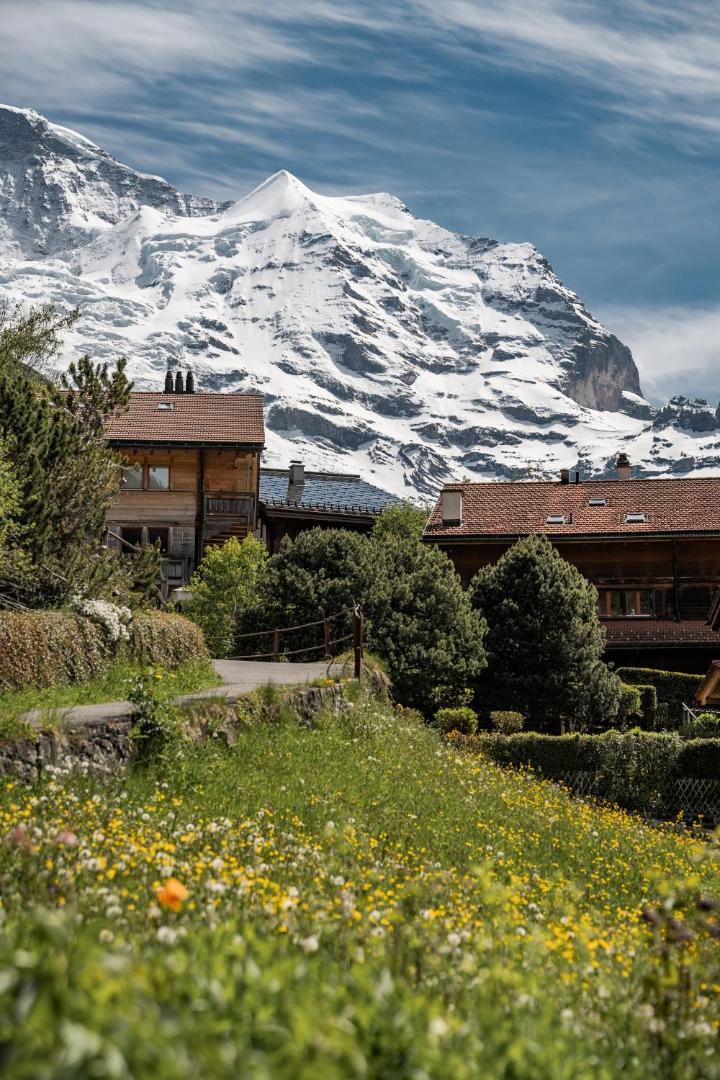 Braunbär Hotel & Spa 8