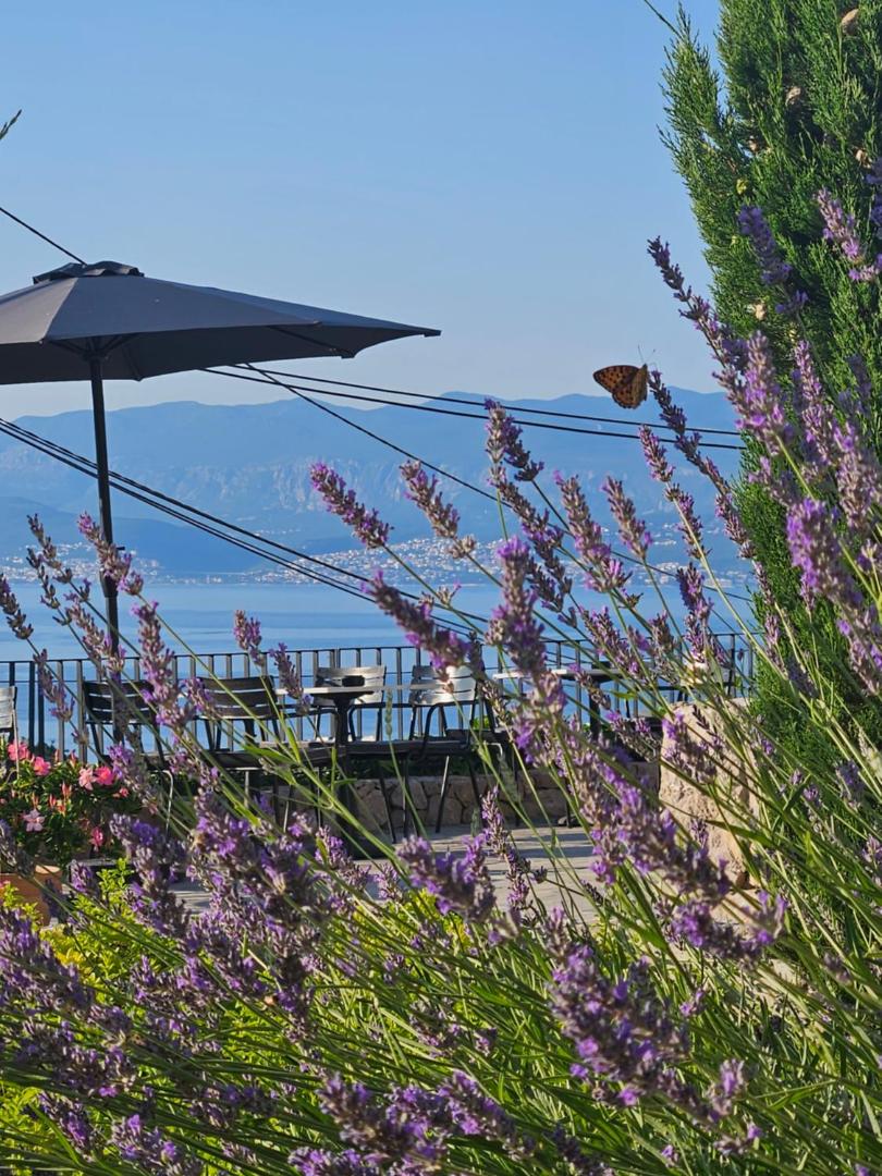 DESIGN hotel VERBENICUM 8