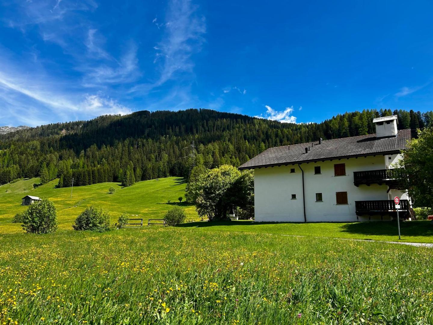 Cosy studio apartment in Splügen 5