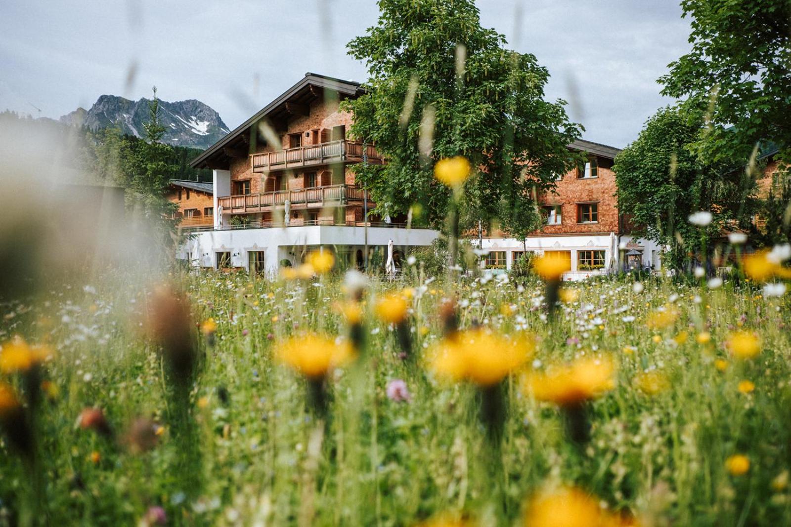 Hotel Aurora 2