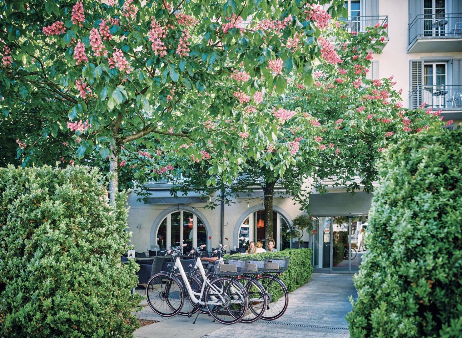 Sorell Boutique-Hotel Speer Rapperswil 7