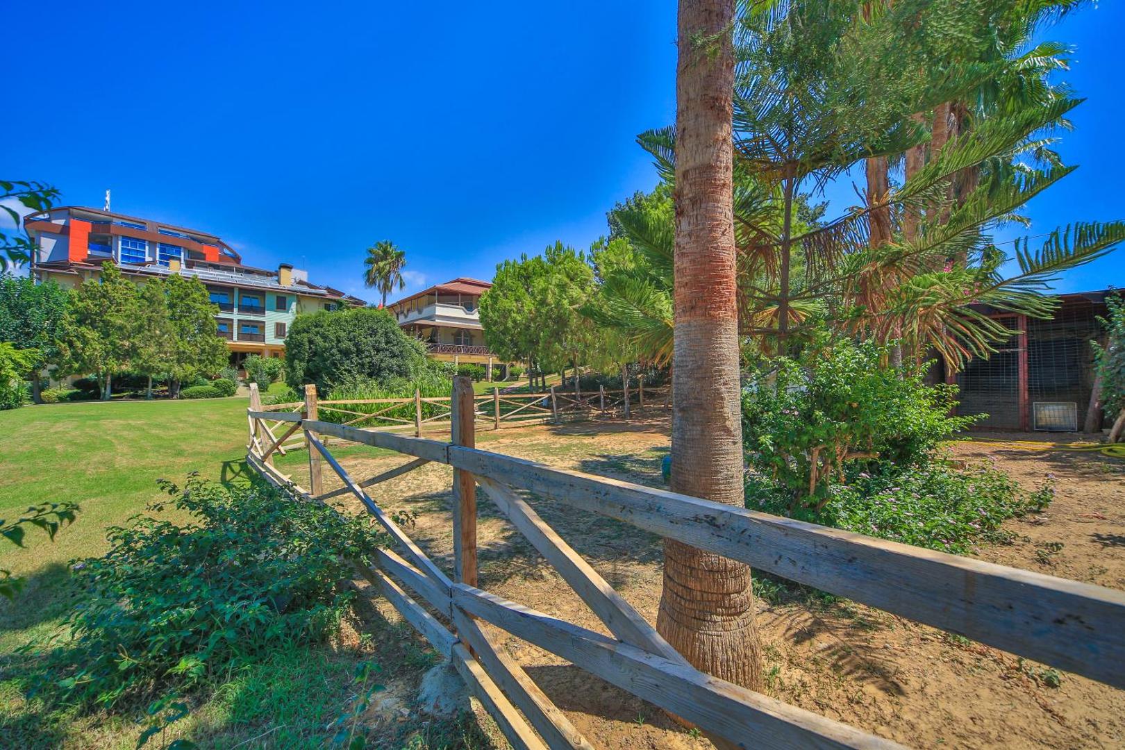 Lonicera Resort & Spa Hotel - Ultra All Inclusive 8