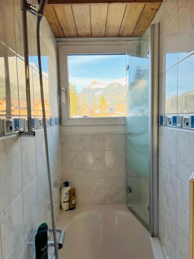 Chalet Alpine 4