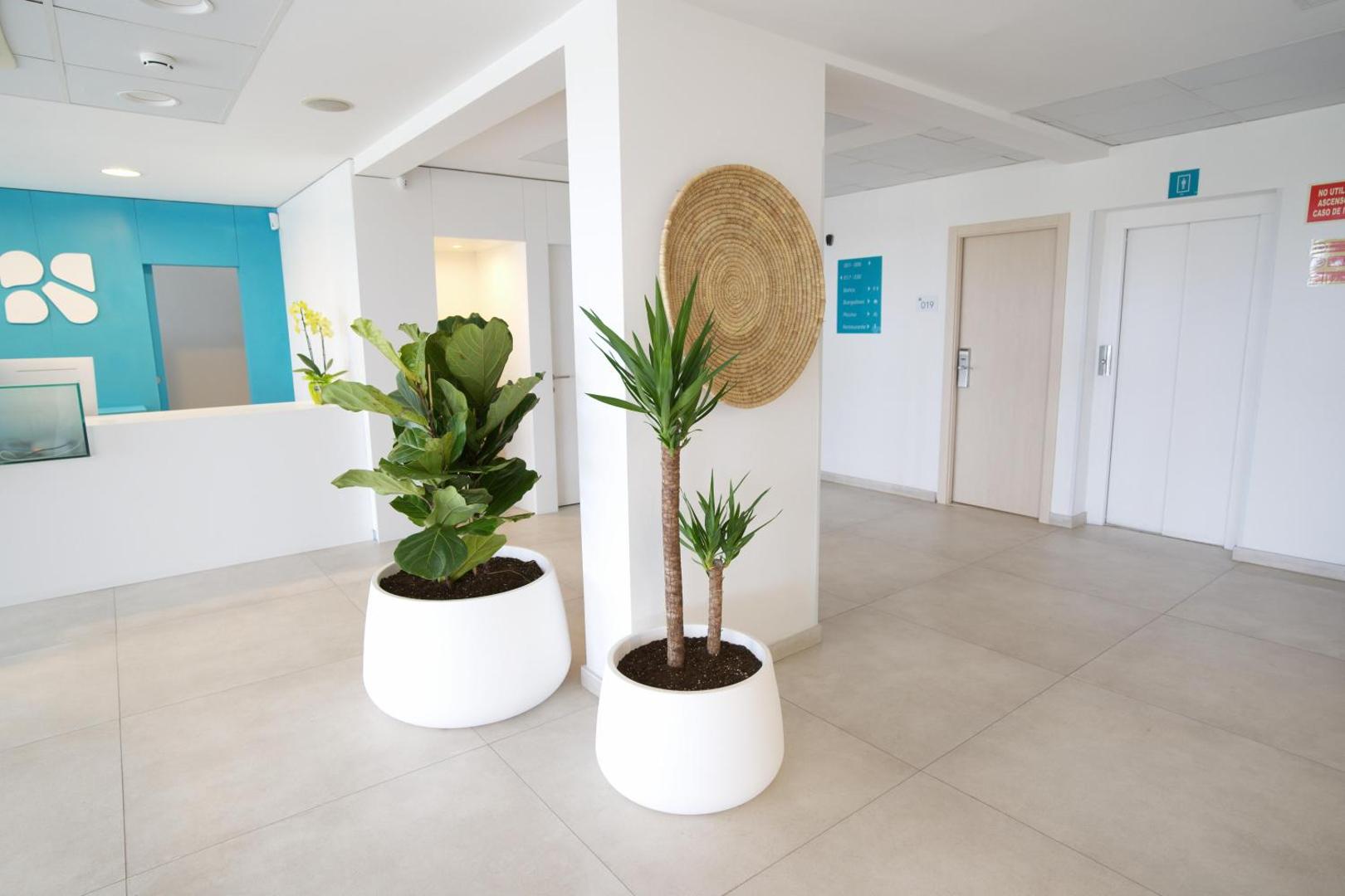 BLUESEA Playa Azul 8