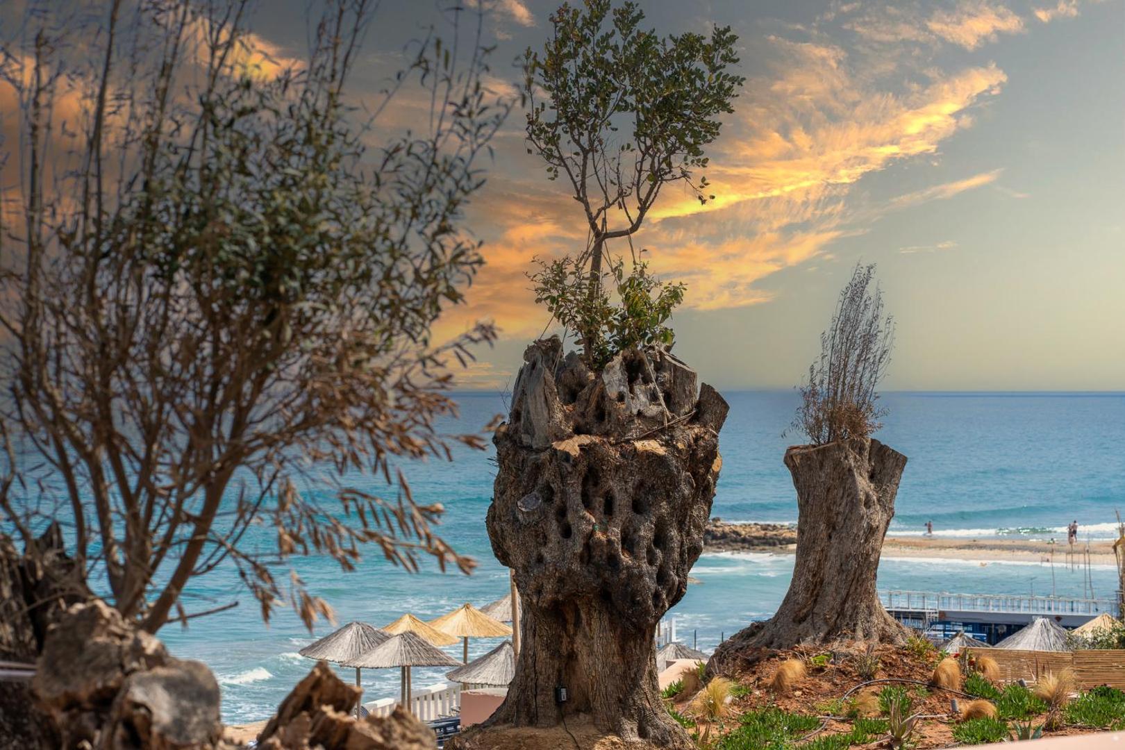 Volta Seaside Boutique Hotel 5